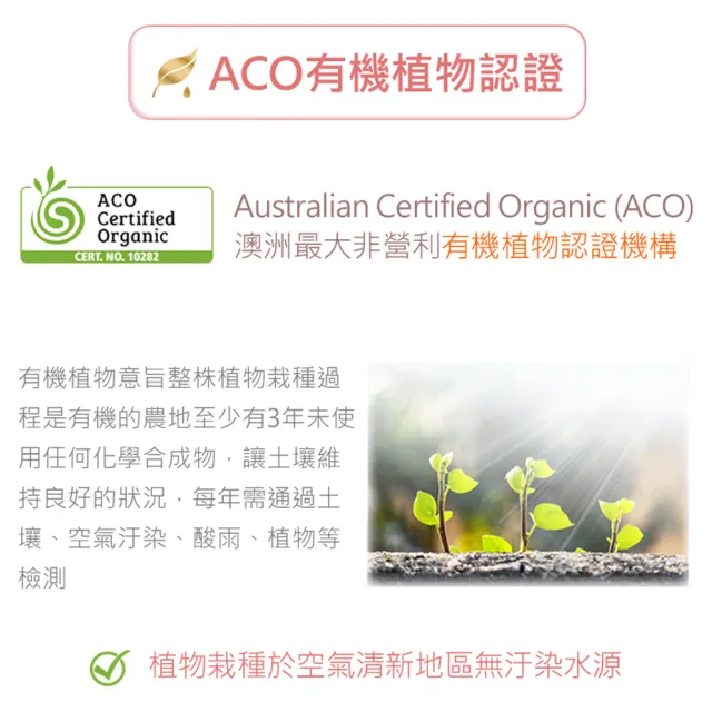【ANDZEN】安得仁 ACO有機山茶花油160ml-2入組- 加金絲檀按摩梳(按摩油 保濕油 基礎油 基底油)