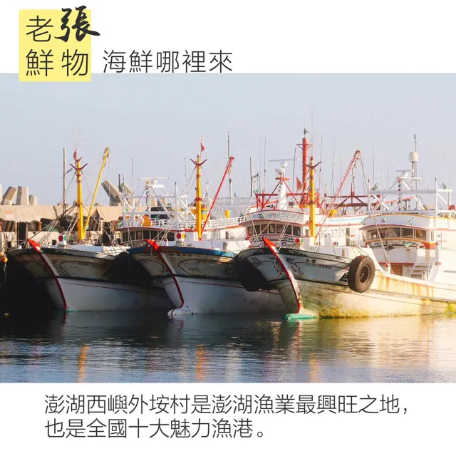 【老張鮮物】澎湖直送野生鮮活小卷 共42-48尾(300g±10%/包  每包約7-8隻)