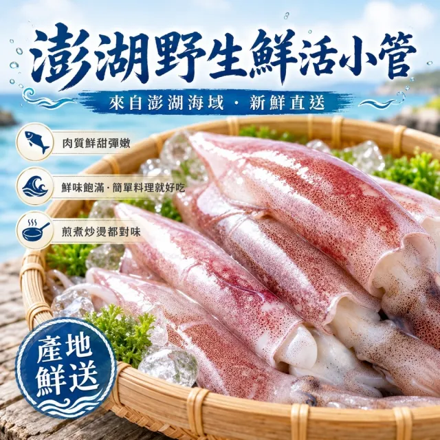 【老張鮮物】澎湖直送野生鮮活小卷 共42-48尾(300g±10%/包  每包約7-8隻)