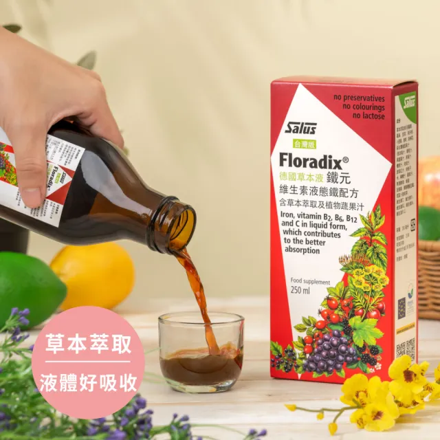 【歐洲屋】德國草本液-Floradix鐵元2入組(共500ml-植物液態鐵)