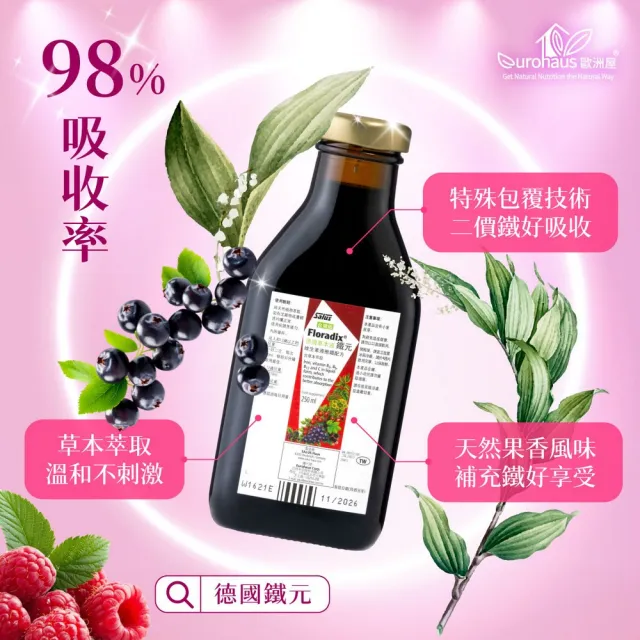 【歐洲屋】德國草本液-Floradix鐵元2入組(共500ml-植物液態鐵)