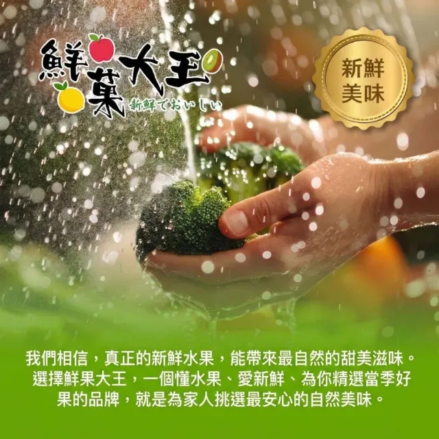 【鮮菓大王】進口特A級美生菜*3顆 特大 (300g-600g±10%/顆) 冷鏈直送 蔬食生活 新鮮進口