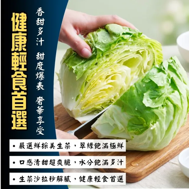 【鮮菓大王】進口特A級美生菜*5顆 特大 (300g-600g±10%/顆) 冷鏈直送 蔬食生活 新鮮進口