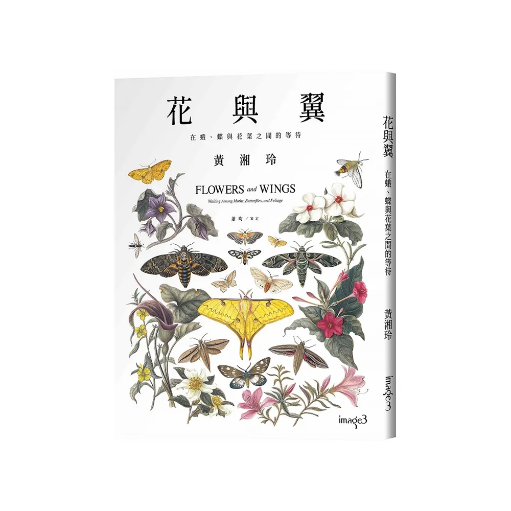 花與翼：在蛾、蝶與花葉之間的等待