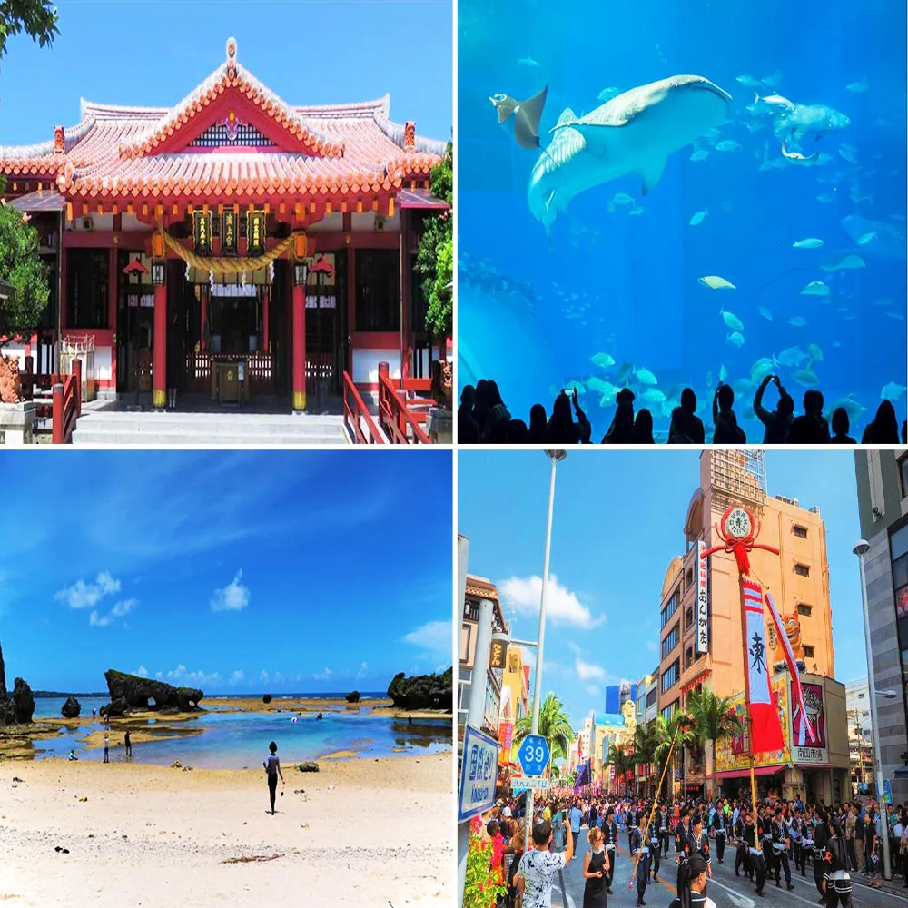 沖繩四日純機票｜每週五出發08-10月★亞航(午去晚回-單人券)