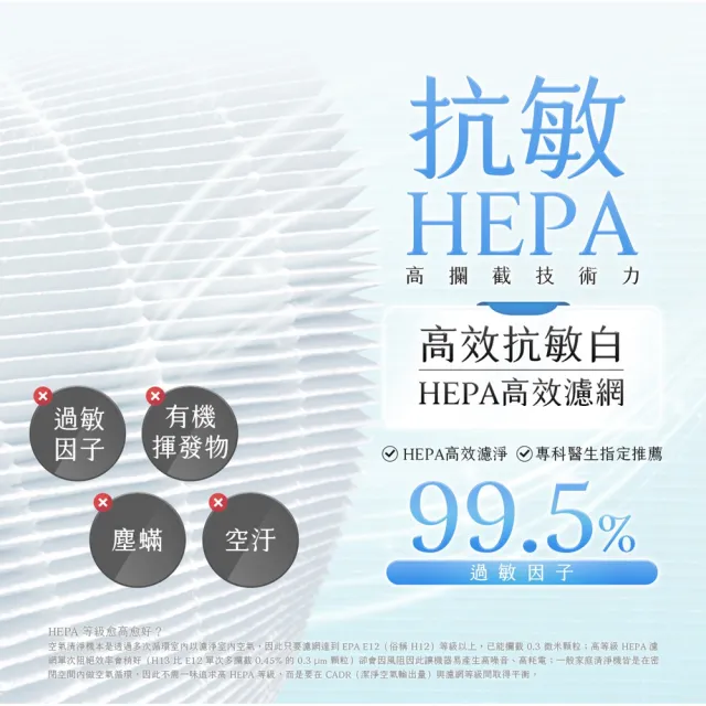 【綠綠好日】適用 戴森 Dyson HP06/TP06/PH02/HP07/TP07/HP09 抗敏HEPA濾芯(清淨機濾網 可水洗前置濾網)