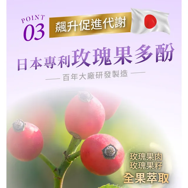 【iVENOR】專利玫瑰果多酚 紫孅果x6盒(30粒/盒 紫茶 白皮衫醇 抑制囤積)
