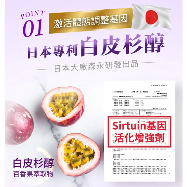 【iVENOR】專利玫瑰果多酚 紫孅果x8盒(紫茶 白皮衫醇 抑制囤積)