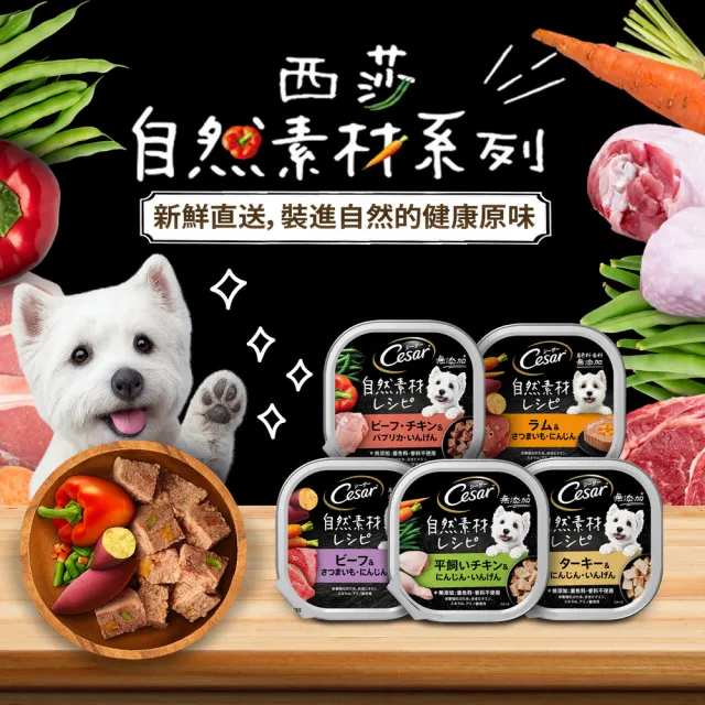 【Cesar 西莎】mopro限定 自然素材餐盒 85g*28入 寵物/狗罐頭/狗食