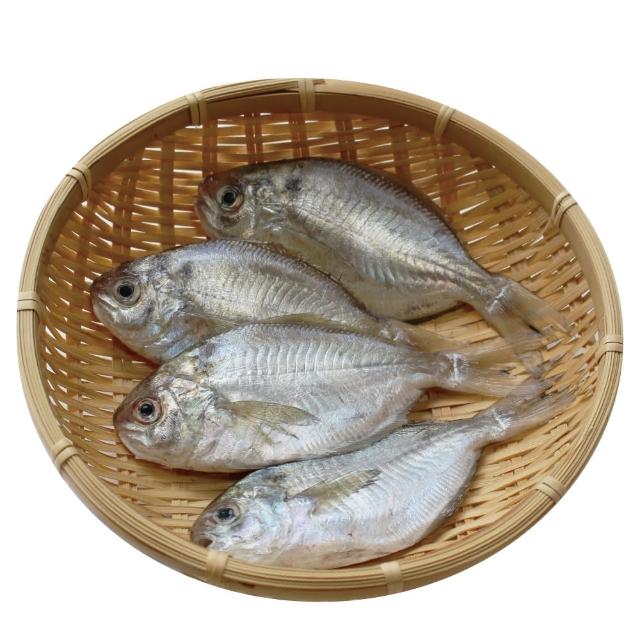 【小川漁屋】野生肉魚6包(600g±10%/包/6-8尾)
