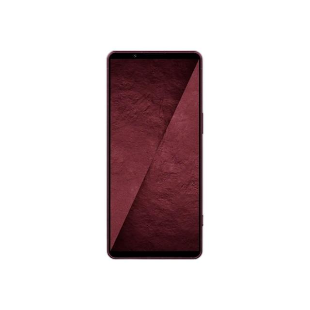 【INGENI】Sony Xperia 1 V 旭硝子玻璃保護貼 滿版 黑邊 晶細霧面