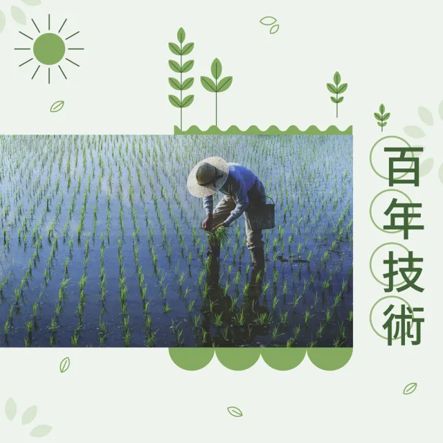 【皇家穀堡】壽豐七星胚芽糙米2.5kg 中元拜拜普渡(榮獲日本調理炊飯士肯定)