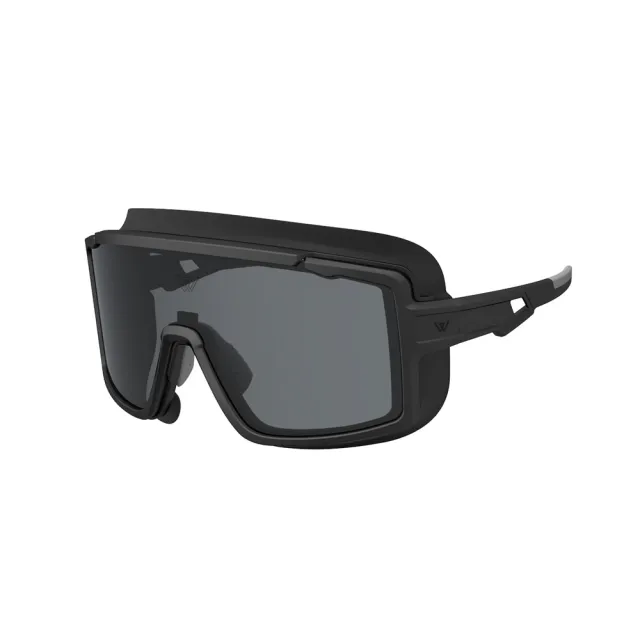 【Wensotti】TATTIC 軍用安全眼鏡 護目鏡 防護戰術眼鏡 太陽眼鏡(WI6004-M04)