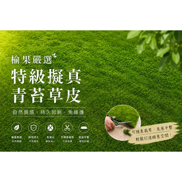 【HUGO DECO 榆果傢飾】特級擬真青苔草皮 (仿真苔蘚/植生牆/免澆水/攝影道具/陽台佈置)