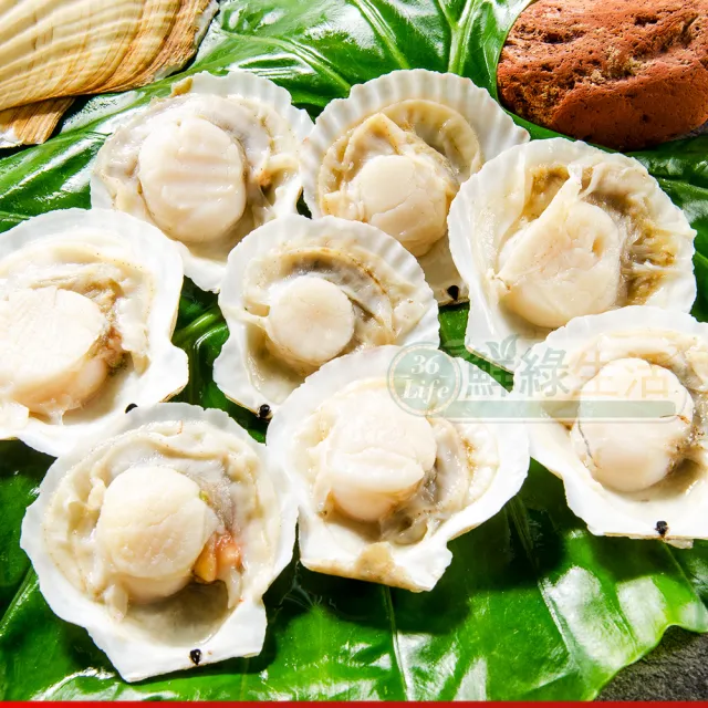 【鮮綠生活】鮮美大扇貝 共5包(300g±10%/包 約7-10顆/包)