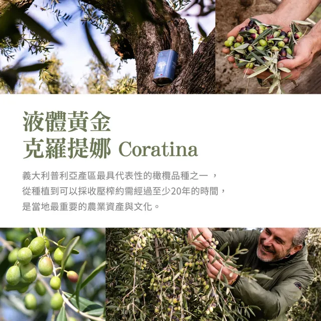 【REGINATERRA 王后之地】特級初榨橄欖油500ml (EVOO/義大利原裝進口/冷壓初榨/可生飲/烹飪料理)