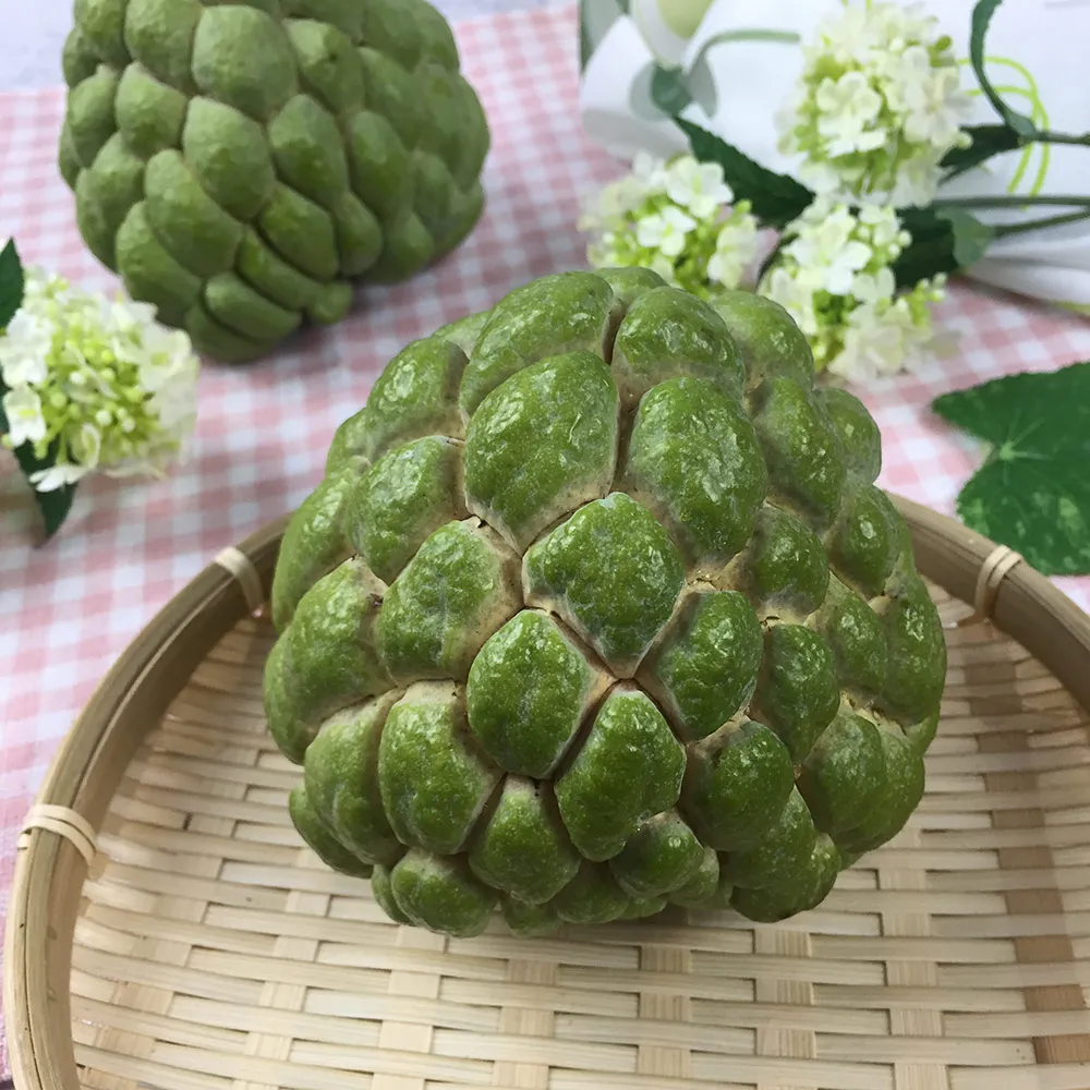 【初品果】台東知本大目釋迦含箱重10斤13-14顆x2箱(產地直送/送禮/禮盒/水果禮盒)
