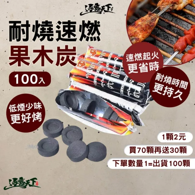 【逐露天下】耐燒速燃果木炭 1盒10包100顆 露營木炭 烤肉燃料 速燃起火 低煙少味 逐露天下