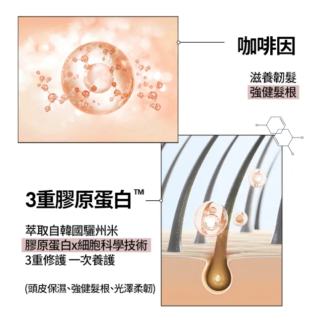 【RYO 呂】官方直營 全方位頭皮養護洗髮精 480ml(染燙受損/控油去屑/豐盈蓬鬆/敏感護理)