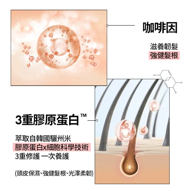 【RYO 呂】官方直營 全方位頭皮養護洗髮精 480ml x2入(染燙受損/控油去屑/豐盈蓬鬆/敏感護理)