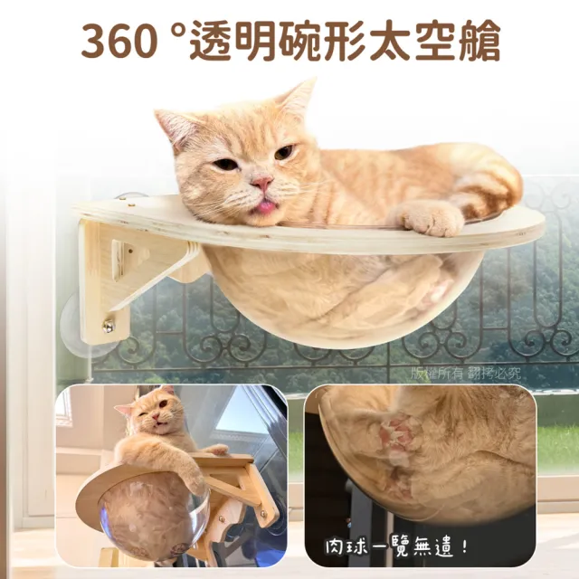 【貓本屋】吸盤/釘牆兩用 實木太空艙貓跳台貓窩