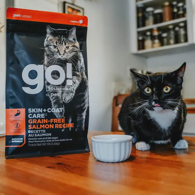 【Go!】野生鮭魚 8磅 貓咪皮毛保健系列 無穀天然糧(貓糧 護毛 貓飼料 全齡貓 寵物食品)