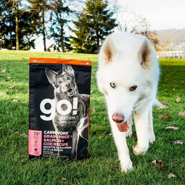 【Go!】海洋鮭鱈 22磅 狗狗高肉量 低碳水無穀天然糧(狗糧 狗飼料 皮膚 寵物食品)