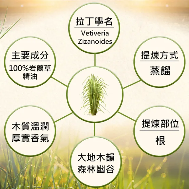 【NEW DIRECTIONS】單方純精油30ml-岩蘭草Vetiver(澳洲原裝進口-新方向)