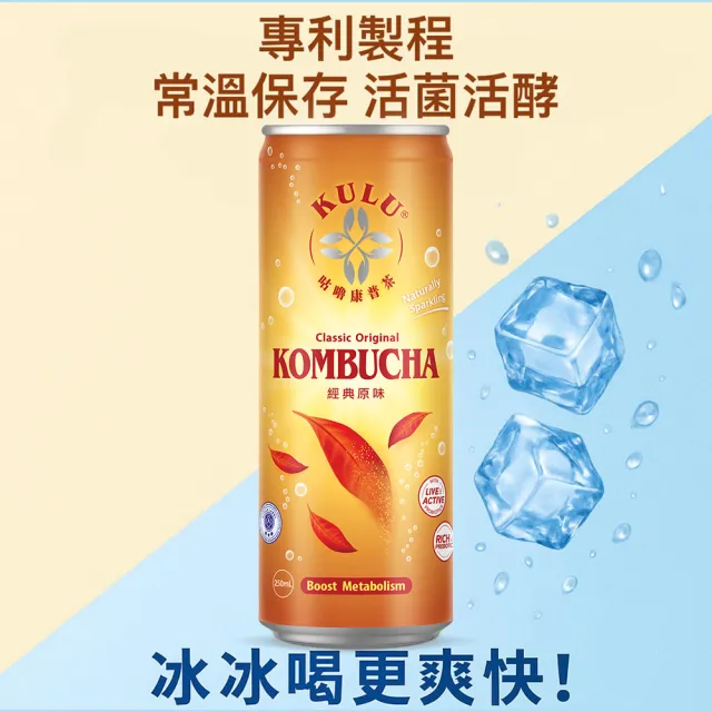 【KuluDrink 咕嚕茶】經典原味 250ml 24入/1箱(氣泡飲 康普茶 益生菌 益生質 kombucha)