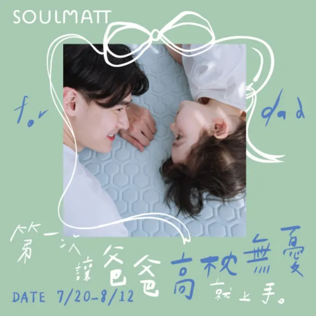 【SOULMATT】高枕(父親節 禮物 枕頭 Airwash涼洗綿 高支撐 抗菌防蟎 可水洗 支撐 貼合 不變形 不塌陷)