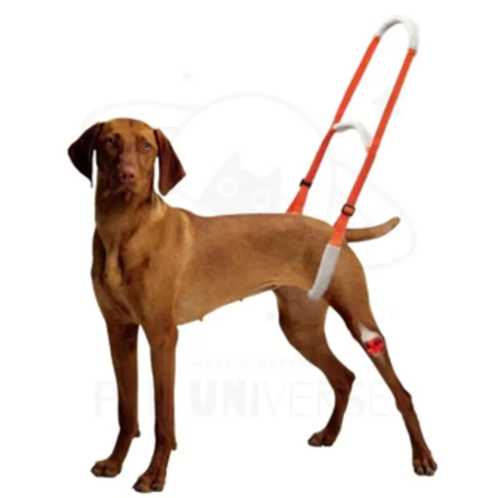 【Pet Universe 多寵宇宙】後肢輔助帶-兩用款(狗狗輔助帶 寵物輔助帶 狗輔助帶 老犬輔助帶 寵物輔助 老犬)