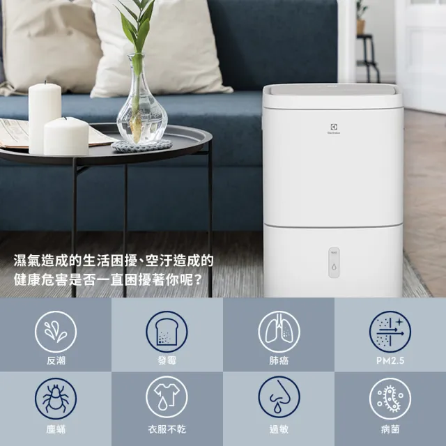 【Electrolux 伊萊克斯】雙11限定 2026年新一級能效 10L 極適家居300 清淨除濕機-晨曦白(ED1031WD)