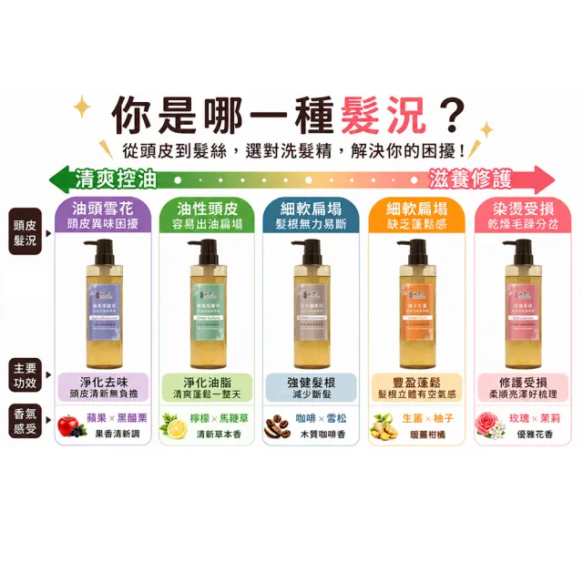 【古寶無患子】3瓶入 髮的能量飲 肌胺酸洗髮精露530g(強健髮根/豐盈髮絲/潤澤柔順/控油去屑/無矽靈)