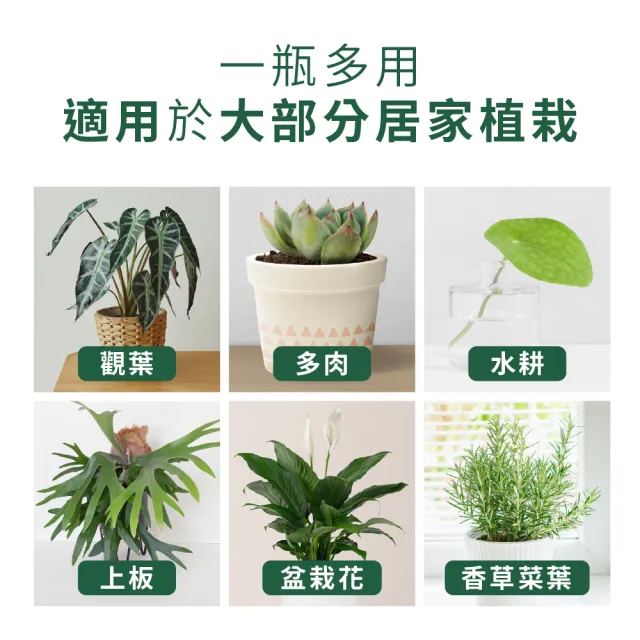 【1%植物關鍵】1%植物營養精華60ml*3(觀葉植物肥料 室內盆栽液肥 多肉植物養分 居家植栽營養劑 營養液)