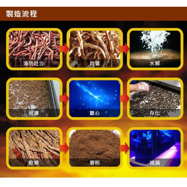 【草本之家】地龍紅蚯蚓酵素膠囊10入組60粒/入(蚯蚓激酶. L-精胺酸.丹參.紅景天)