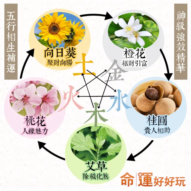 【命運好好玩】李玉珮-黑曜石精萃/五行補運淨衣凝露6入組(兩款選/土地公加持/防小人/招財/桃花/除穢)