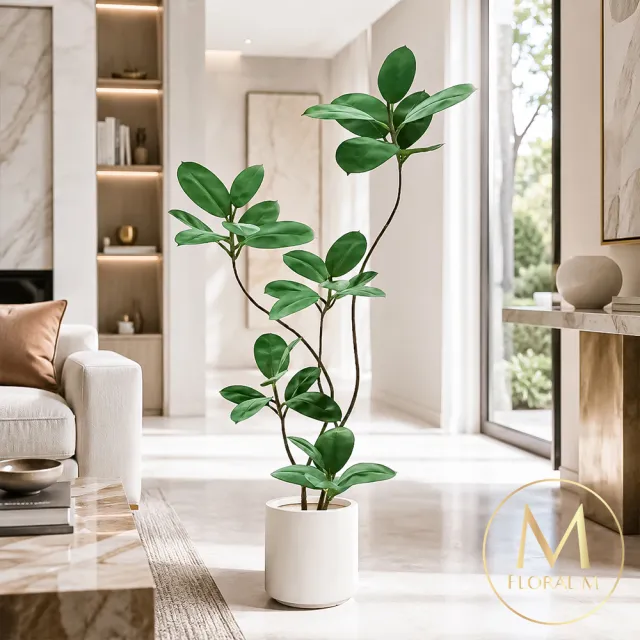 【Floral M】吉祥如意大葉榕180cm大型仿真植栽(贈花盆)(仿真樹/免澆水/室內佈置/居家裝飾/招財擺設)（其他規格）