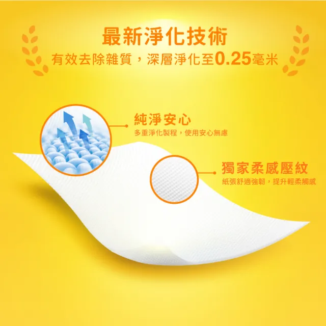 【倍潔雅】花漾柔感抽取式衛生紙PEFC(150抽x84包/箱)