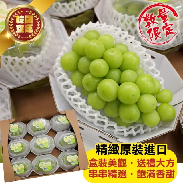 【WANG 蔬果】韓國無籽麝香綠葡萄_大串500-600gx1盒(單串PE硬盒 空運直送)