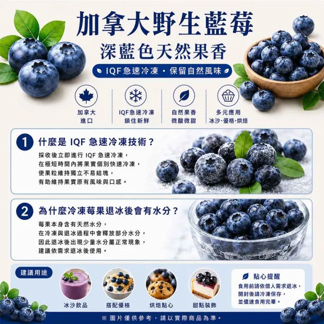 【幸美生技】冷凍野生藍莓2包組1kgx2包 加拿大進口 (送驗 農殘/重金屬 檢驗通過)