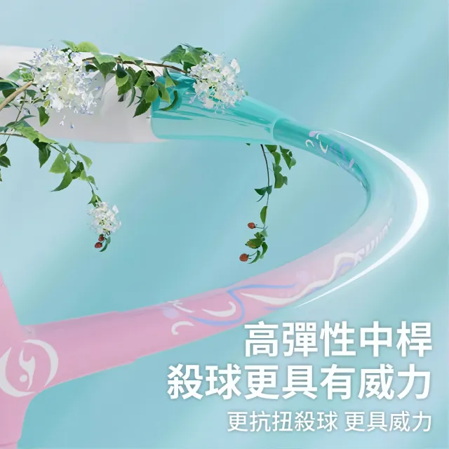 【QLZHS】鋁合金輕量減震羽毛球拍 對拍組 穿線拍 比賽訓練羽毛球拍套組 羽拍 進攻型球拍 (贈3尼龍球)