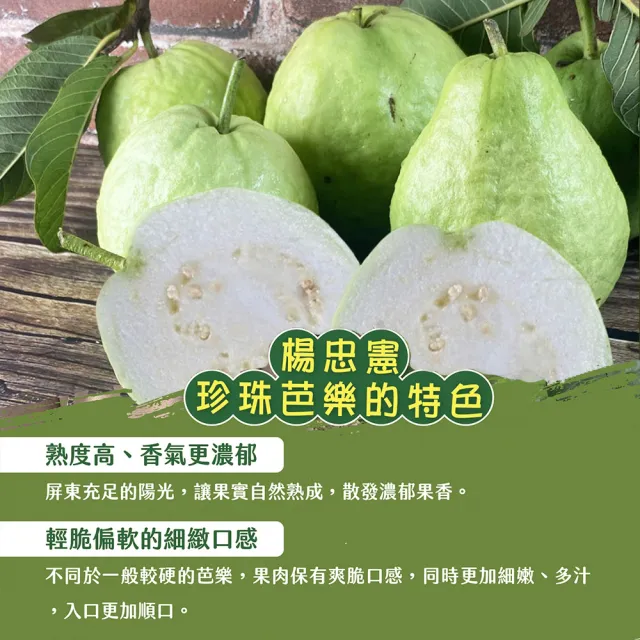 【初品果】各大媒體專訪 青農楊忠憲 牛奶珍珠芭樂禮盒8斤x2箱(大小粒數不限 冷藏宅配 屏東產地直送)