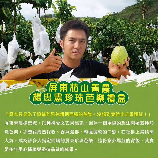 【初品果】各大媒體專訪 青農楊忠憲 牛奶珍珠芭樂禮盒8斤x1箱(大小粒數不限 冷藏宅配 屏東產地直送)