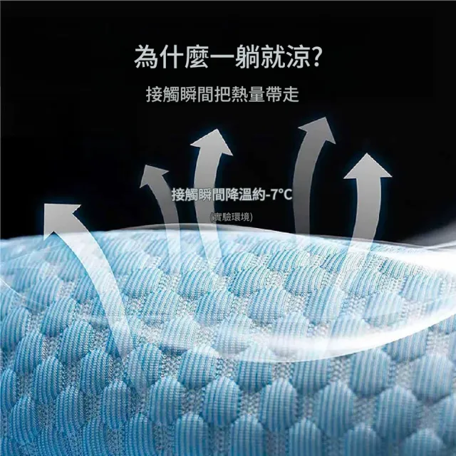 【IPSKY】透氣涼感寵物車載坐墊 汽車座椅專用貓狗墊 附靠枕支撐背部  防髒耐抓好清洗 15公斤適用