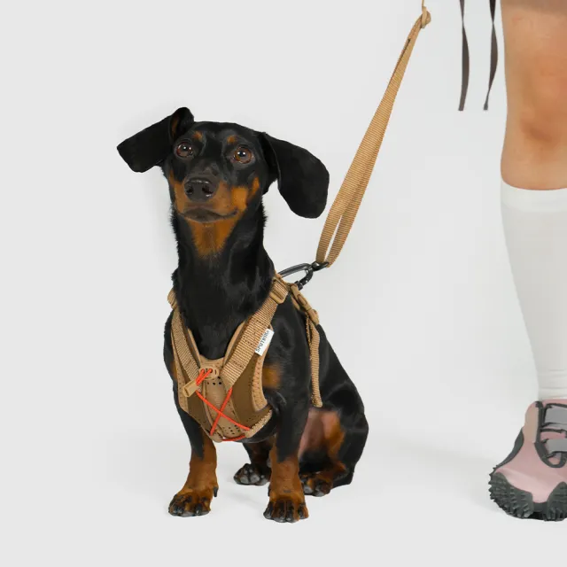 【SPUTNIK 斯普尼克】Ultra Explore 寵物牽繩 Leash-S 卡其色 (寵物牽繩/貓狗適用/寵物外出用品)