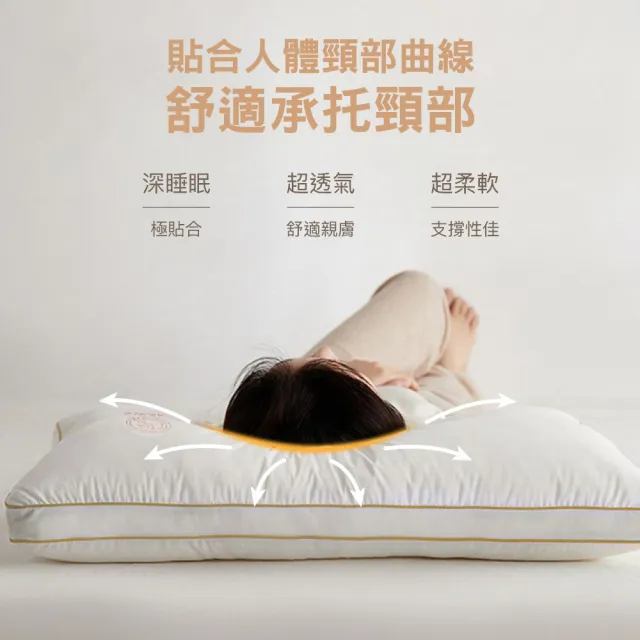 【ISHUR 伊舒爾】水鑽超柔立體羽絲枕2入(贈天絲枕套2入/羽絨枕/羽毛枕/枕頭)