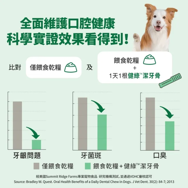 【Greenies 健綠】狗潔牙骨 原味 12oz 寵物/潔牙骨/狗食