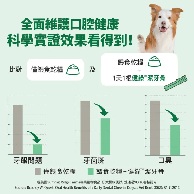 【Greenies 健綠】狗潔牙骨 綜合口味36oz  寵物/潔牙骨/狗食(原味+藍莓+薄荷)