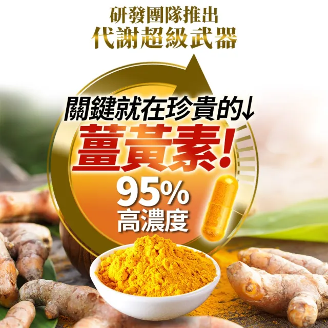 【葡萄王】夜極薑黃複方膠囊100粒x3瓶 共300粒(95%薑黃 益生菌 綠茶兒茶素 葡萄王官方)