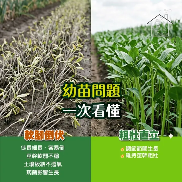 【蔬菜工坊】壯苗套組 120ml 5入組 根多綠優多元益菌立淨植立淨